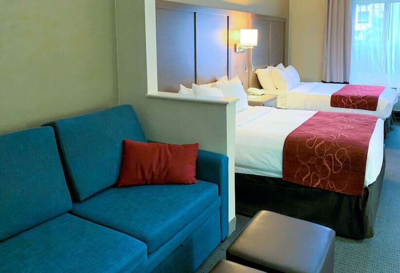 سوییت, Comfort Suites Bush Intercontinental Airport