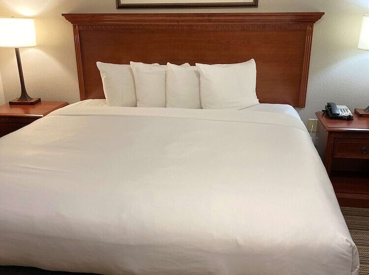 适合残疾人士使用的套间, Country Inn & Suites By Radisson, Fort Worth, Tx