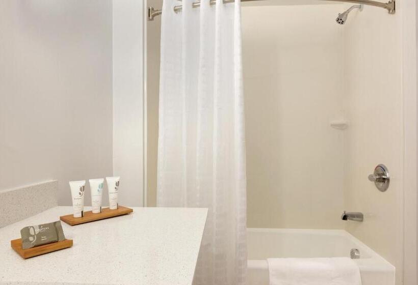 Люкс Кровать Кинг, Country Inn & Suites By Radisson, Romeoville, Il