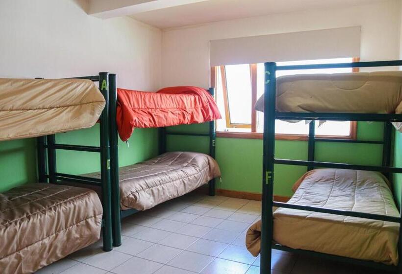 공동 객실, Yaghan Hostel