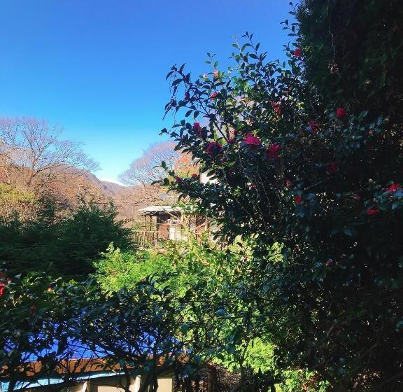 Номер Стандарт Совместная Ванная, Onsen & Garden Asante Inn