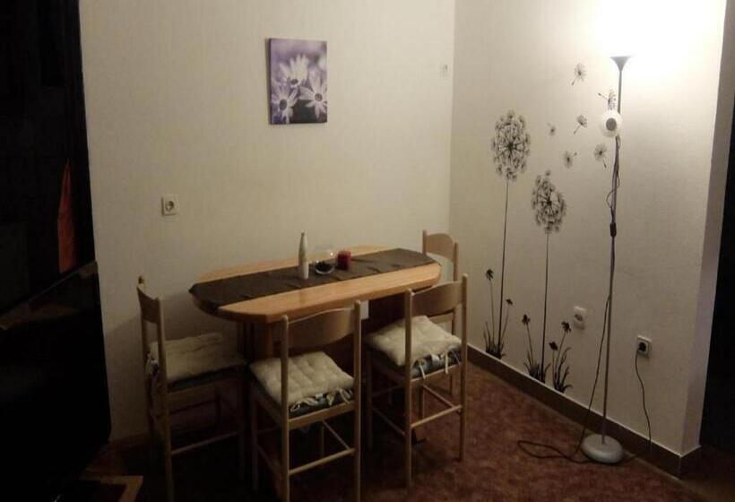 آپارتمان 1 خوابه با بالکن, Apartments & Rooms Rendulić