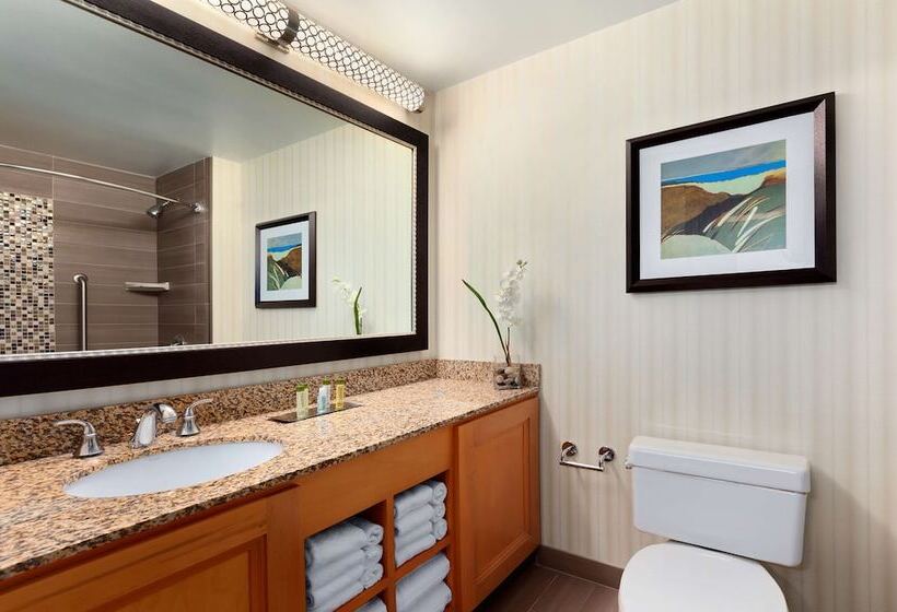 Люкс Адаптированный для Инвалидов, Doubletree Suites By Hilton Orlando   Disney Springs® Area