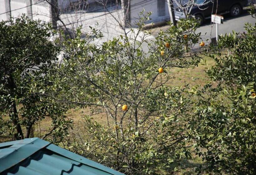 Economy Triple Room, Sataplia District