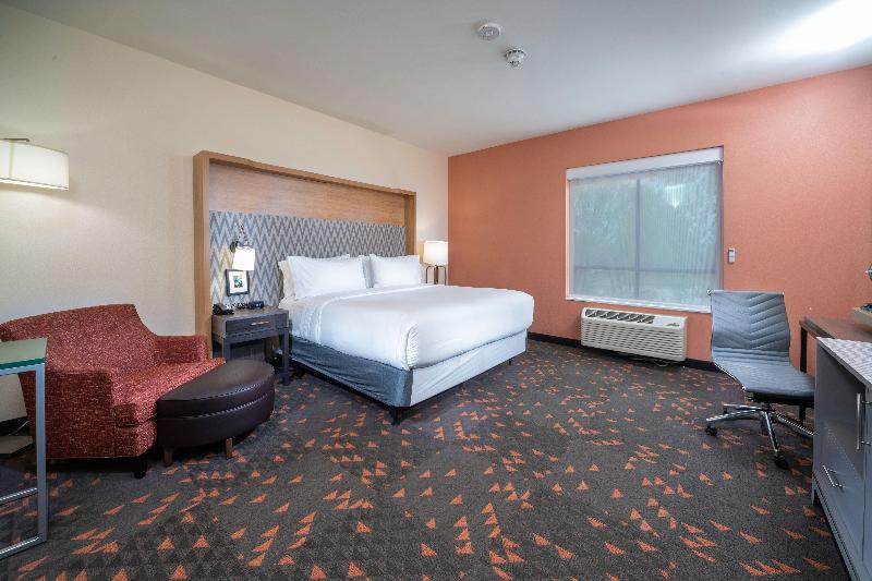 带大床的标准间, Holiday Inn St Louis   Creve Coeur, An Ihg