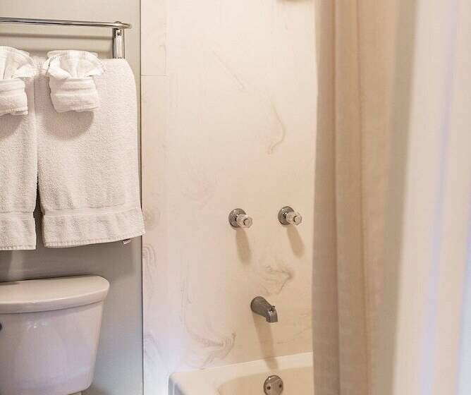 带2个双人床的标准工作室, Gateway Inn And Suites