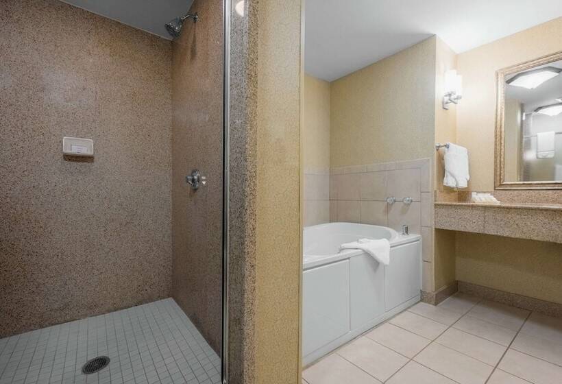Люкс, Hilton Garden Inn Meridian