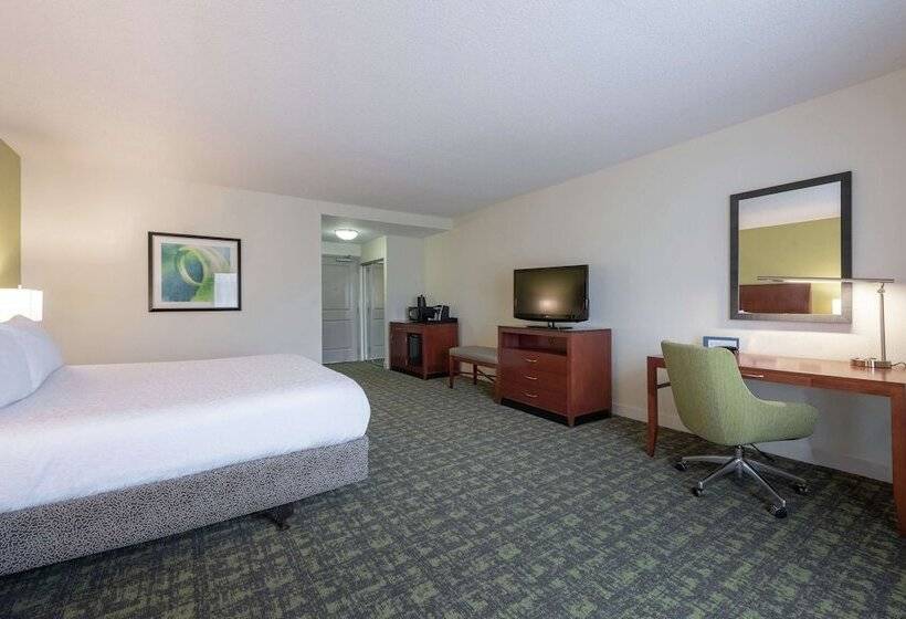 Номер Стандарт Адаптированный для Инвалидов, Hilton Garden Inn Meridian