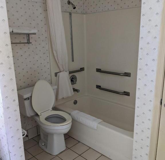Номер Стандарт Кровать Кинг Адаптированный для Инвалидов, Key West Inn   Montgomery South