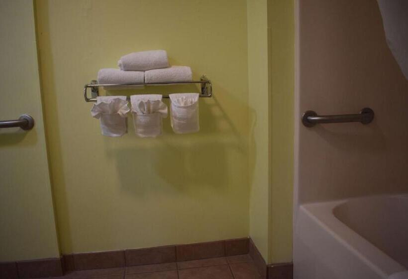 身障者適用キングサイズベッドルーム, Surestay Hotel By Best Western Brunswick