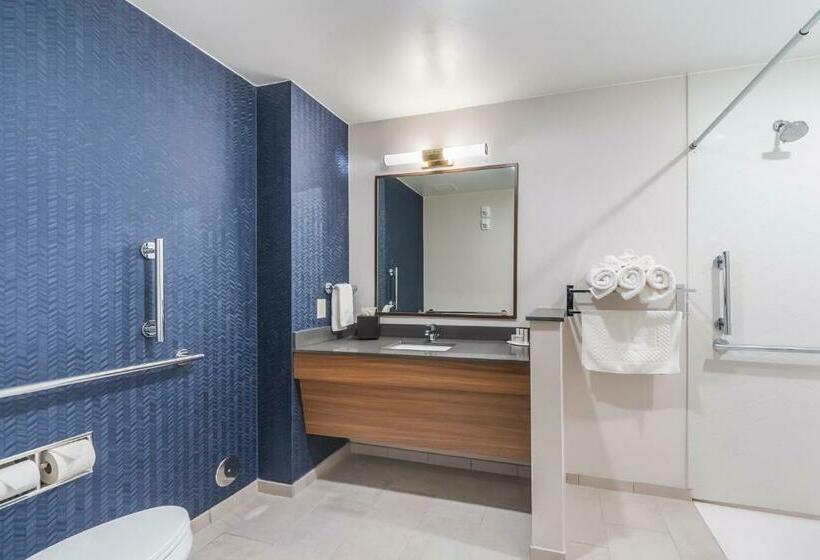 سوئیت با تخت بزرگ, Fairfield Inn & Suites By Marriott Corpus Christi Central
