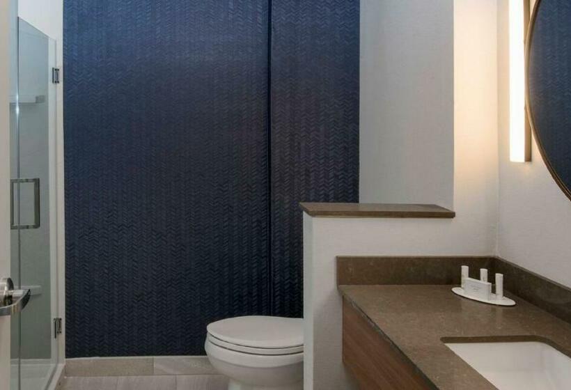 Люкс Executive Кровать Кинг, Fairfield Inn & Suites By Marriott Tulsa Catoosa