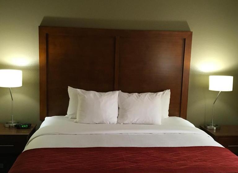 Стандартный Номер Кровать Кинг, Comfort Inn & Suites Near Kino Sports Complex