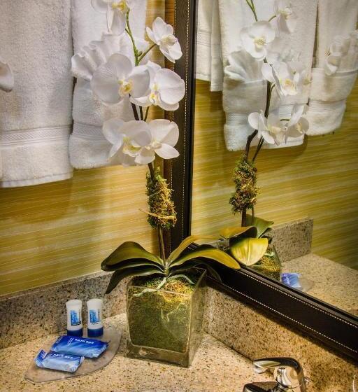 Habitació Estàndard 2 Llits Matrimoni, Fairfield Inn & Suites Dulles Airport