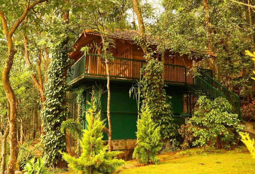 Шале 1 Спальня, Mount Xanadu Resorts