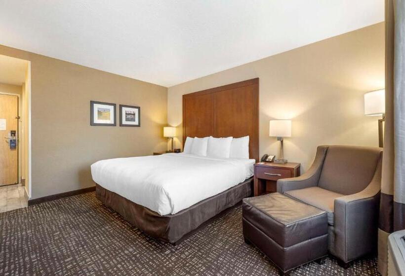 Стандартный Номер Кровать Кинг, Comfort Inn & Suites Orem  Provo