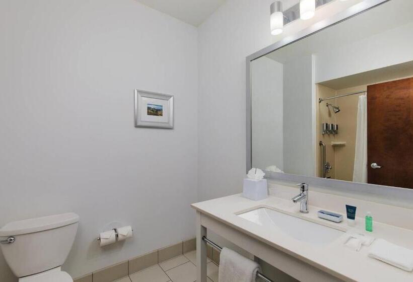 带大床的标准间, Four Points By Sheraton Portland East