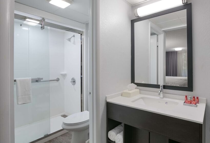 Standaardkamer met 2 Tweepersoonsbedden, Surestay Plus Hotel By Best Western Gatlinburg