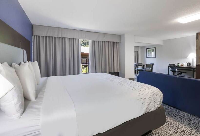 Suite met Uitzicht op de Rivier, Surestay Plus Hotel By Best Western Gatlinburg