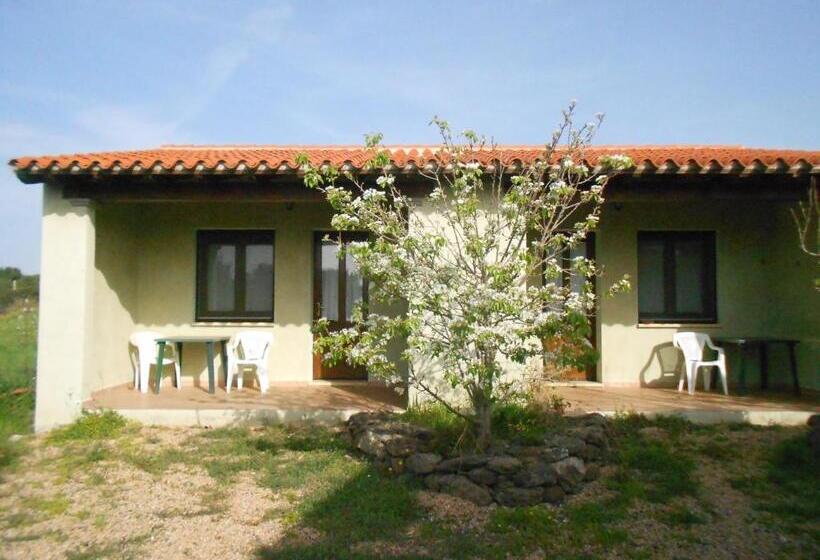 スタンダードルーム, Agriturismo Su Birde