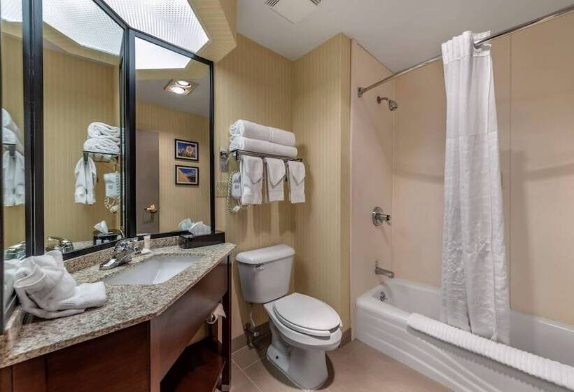 스탠다드 룸 더블 침대 2개, Comfort Inn & Suites Warsaw Near Us30