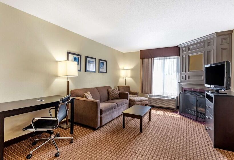 스위트, Comfort Inn & Suites Warsaw Near Us30