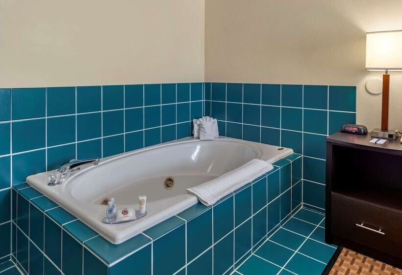 스위트, Comfort Inn & Suites Warsaw Near Us30