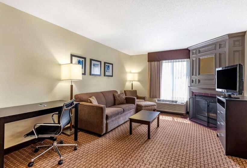 스위트, Comfort Inn & Suites Warsaw Near Us30