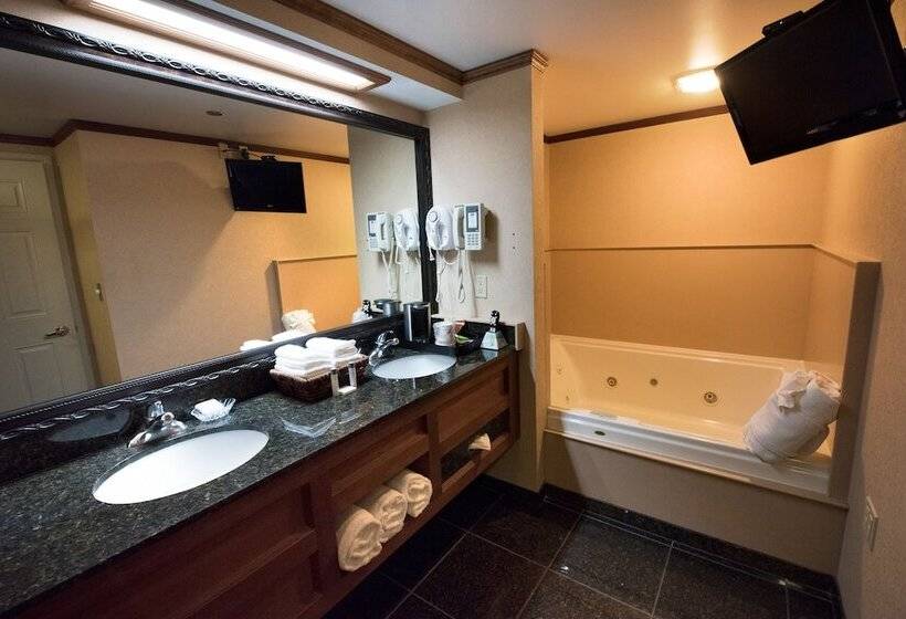Номер Deluxe Вид на Озеро, Hamilton Inn Select Beachfront Mackinaw City
