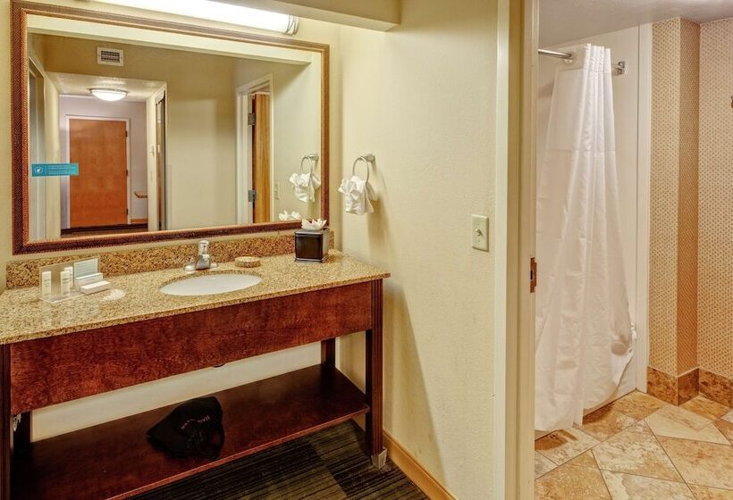 套房, Hampton Inn & Suites Pigeon Forge On The Parkway
