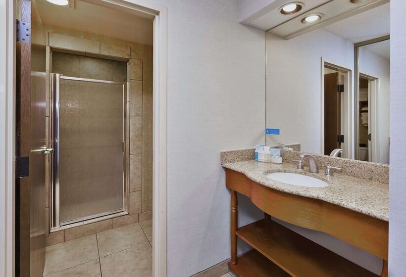 스위트, Hampton Inn Idaho Falls At The Mall