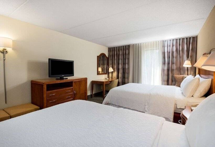 스탠다드 룸 더블 침대 2개, Hampton Inn Roanoke/hollins  I81