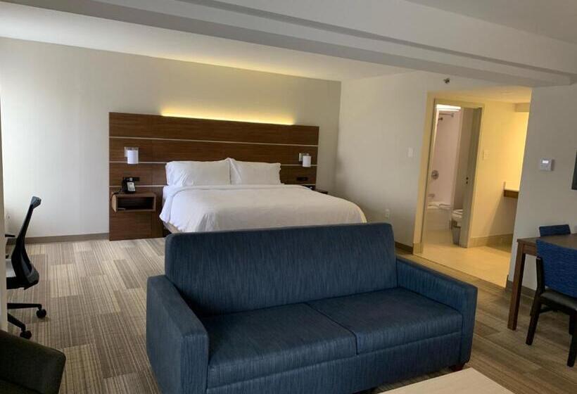 스위트 킹사이즈 침대, Holiday Inn Express Voorhees/ Mt. Laurel, An Ihg