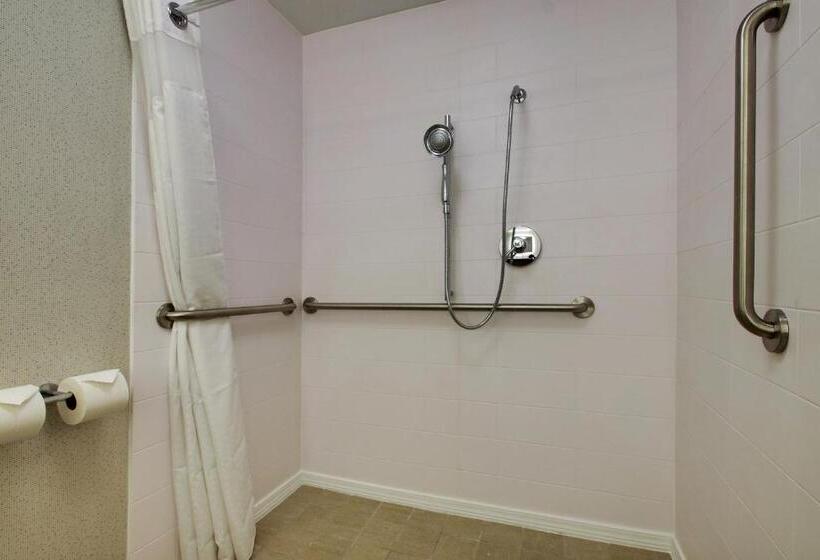 장애인을 위한 킹사이즈 침대 스탠다드 룸, Holiday Inn Express Voorhees/ Mt. Laurel, An Ihg