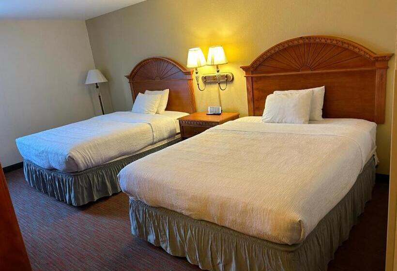 اتاق استاندارد, Orlando Palms