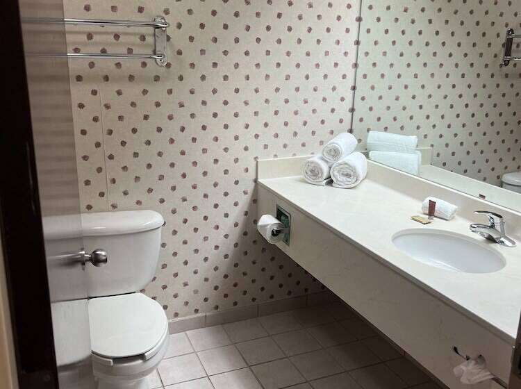 اتاق استاندارد برای معلولان, Orlando Palms