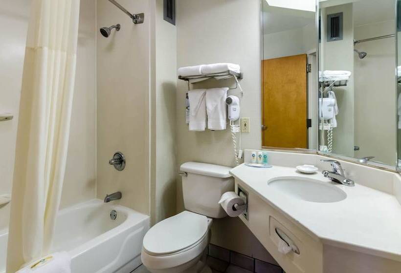 스탠다드 룸 더블 침대 2개, Quality Inn Lynchburg Near University