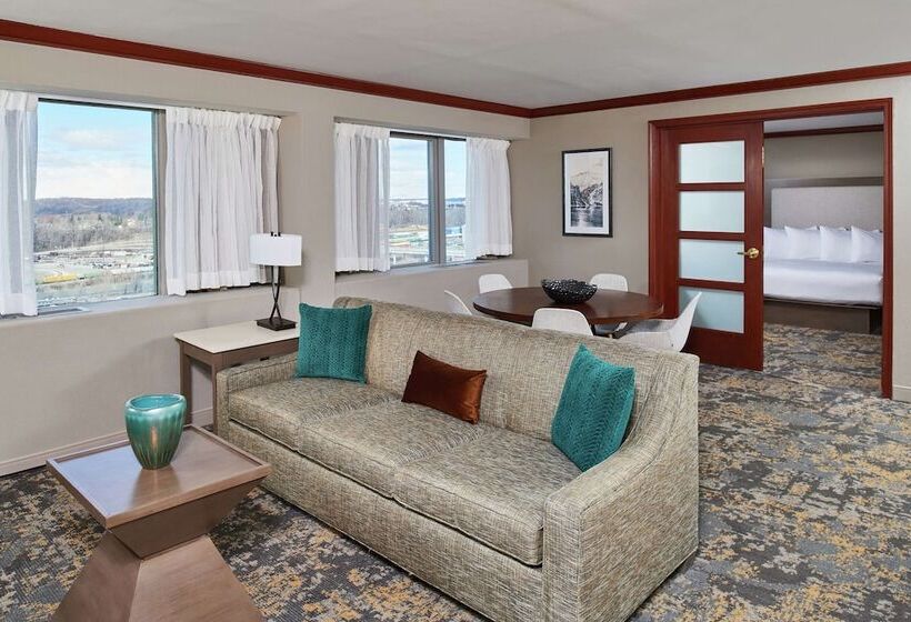 带大床的套房, Hilton Anchorage
