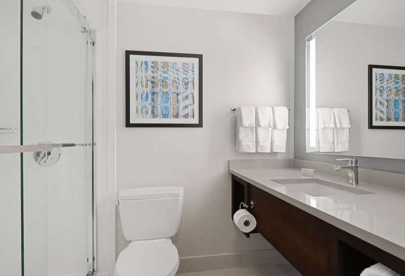 Standard Værelse, Hilton Garden Inn Chicago Downtown/magnificent Mile