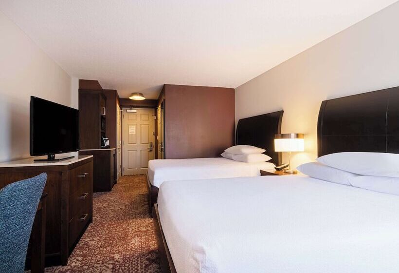 Standard Værelse Byudsigt, Hilton Garden Inn Chicago Downtown/magnificent Mile
