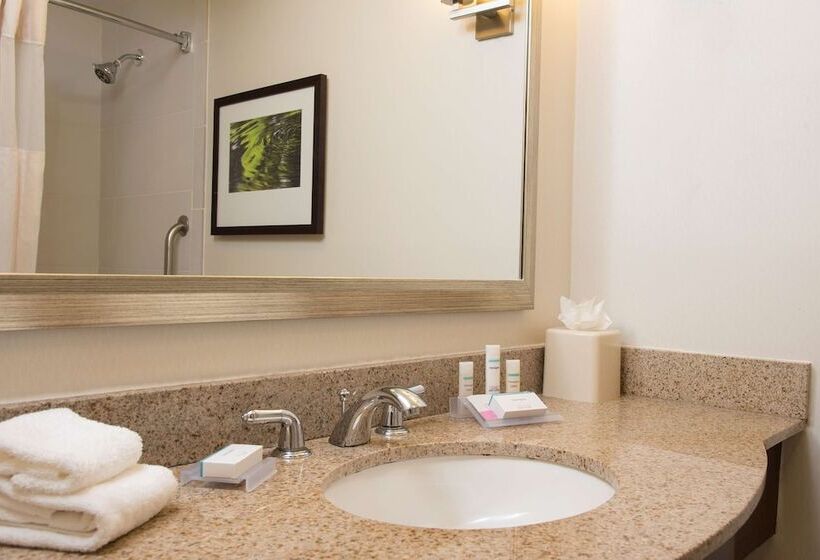 Номер Стандарт 2 Двуспальные Кровати, Hilton Garden Inn Lexington Hamburg