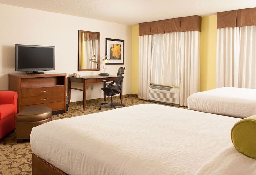 Номер Стандарт, Hilton Garden Inn Orlando Airport