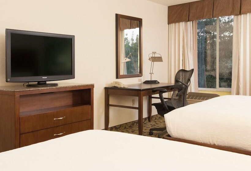 Номер Стандарт, Hilton Garden Inn Orlando Airport