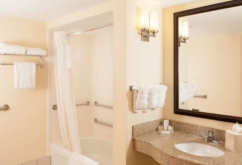 Номер Стандарт Адаптированный для Инвалидов, Hilton Garden Inn Orlando Airport