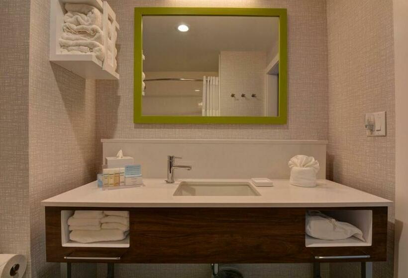스탠다드 룸 킹사이즈 침대, Hampton Inn & Suites Middleburg