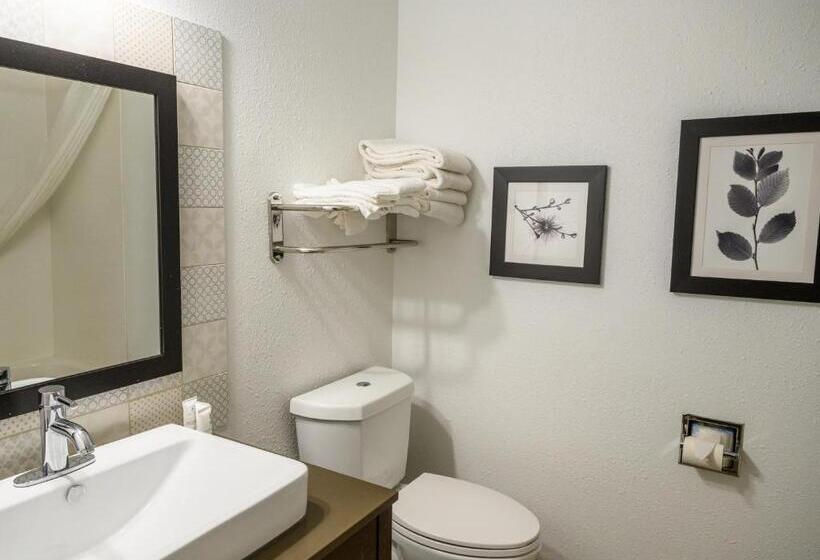 身障者適用スタンダードルーム, Country Inn & Suites By Radisson, Greenfield, In