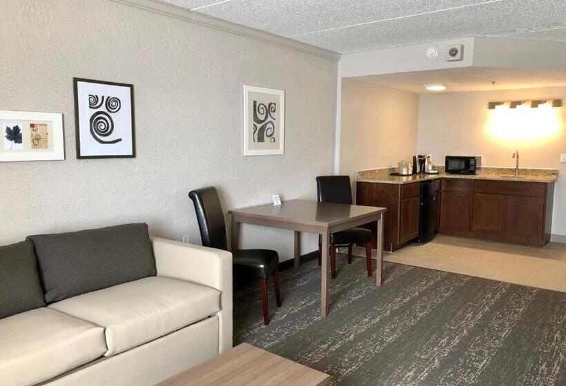 Люкс, Country Inn & Suites By Radisson Mt. Pleasantracine West Wi