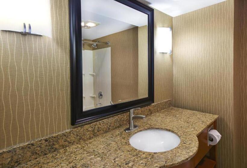 キングサイズベッドのスタンダードルーム, Holiday Inn & Suites Bolingbrook, An Ihg