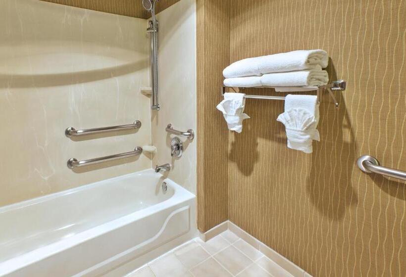 身障者適用キングサイズベッドルーム, Holiday Inn & Suites Bolingbrook, An Ihg