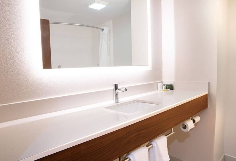 スタンダードルーム, Holiday Inn Express & Suites Dayton Huber Heights By Ihg